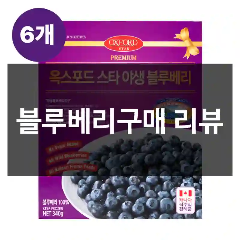 블루베리구매 리뷰