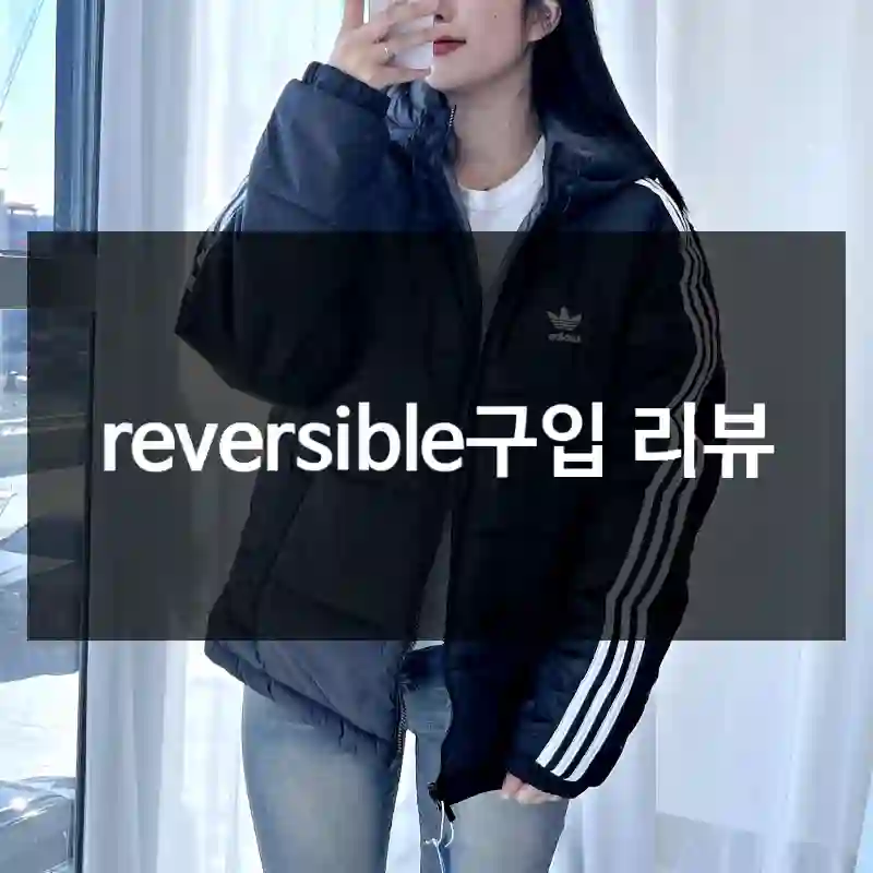 reversible구입 리뷰