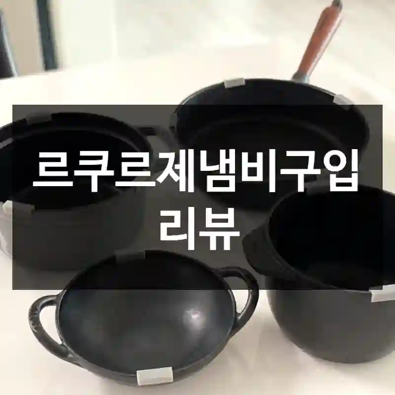 르쿠르제냄비구입 리뷰