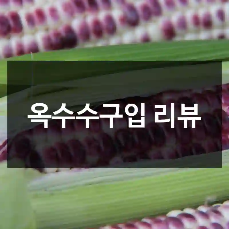 옥수수구입 리뷰