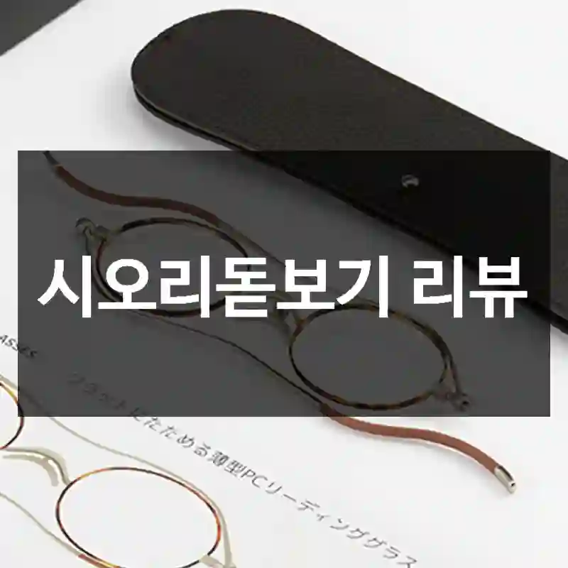 시오리돋보기 리뷰