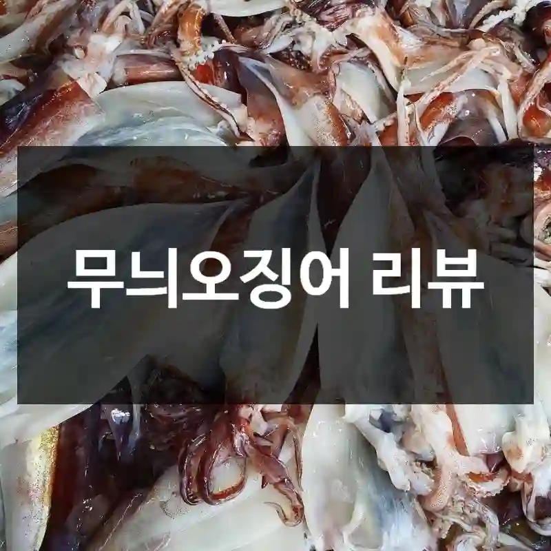 무늬오징어 리뷰