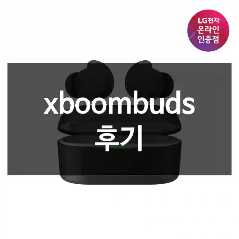 xboombuds 후기