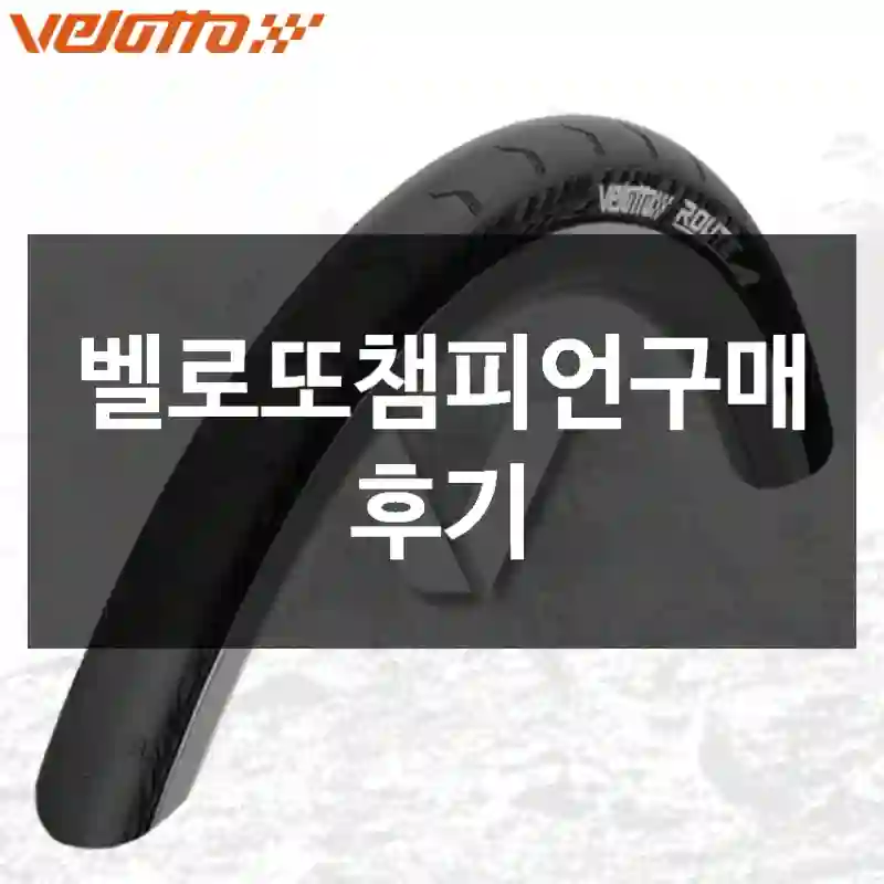 벨로또챔피언구매 후기