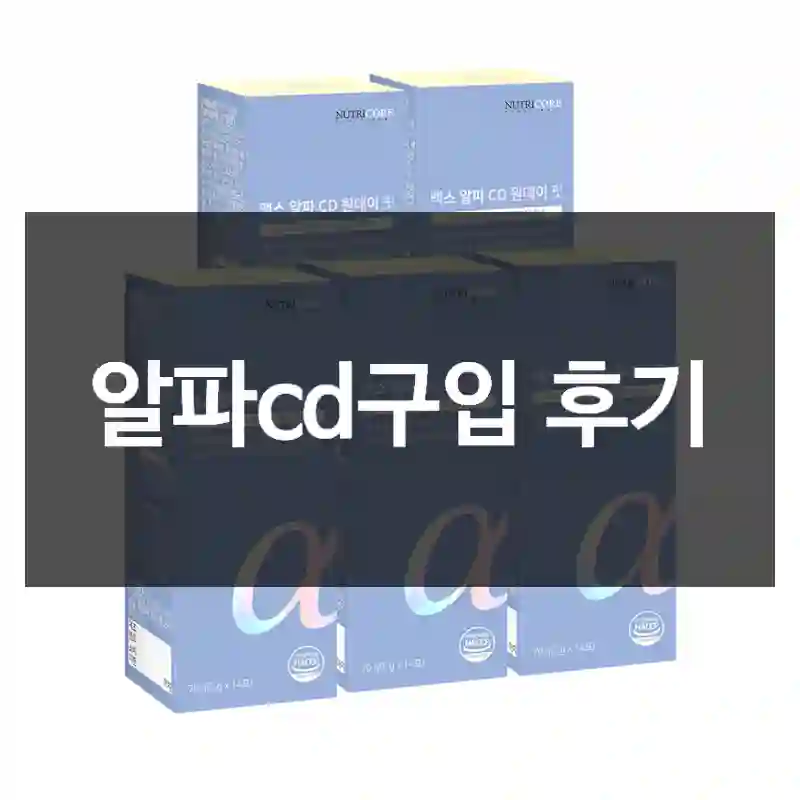 알파cd구입 후기