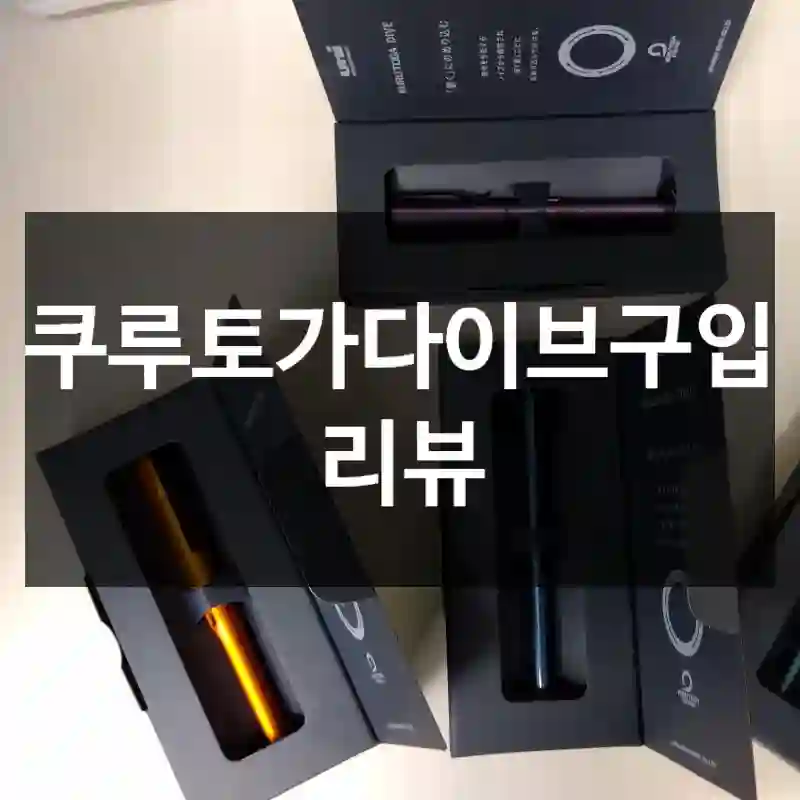 쿠루토가다이브구입 리뷰