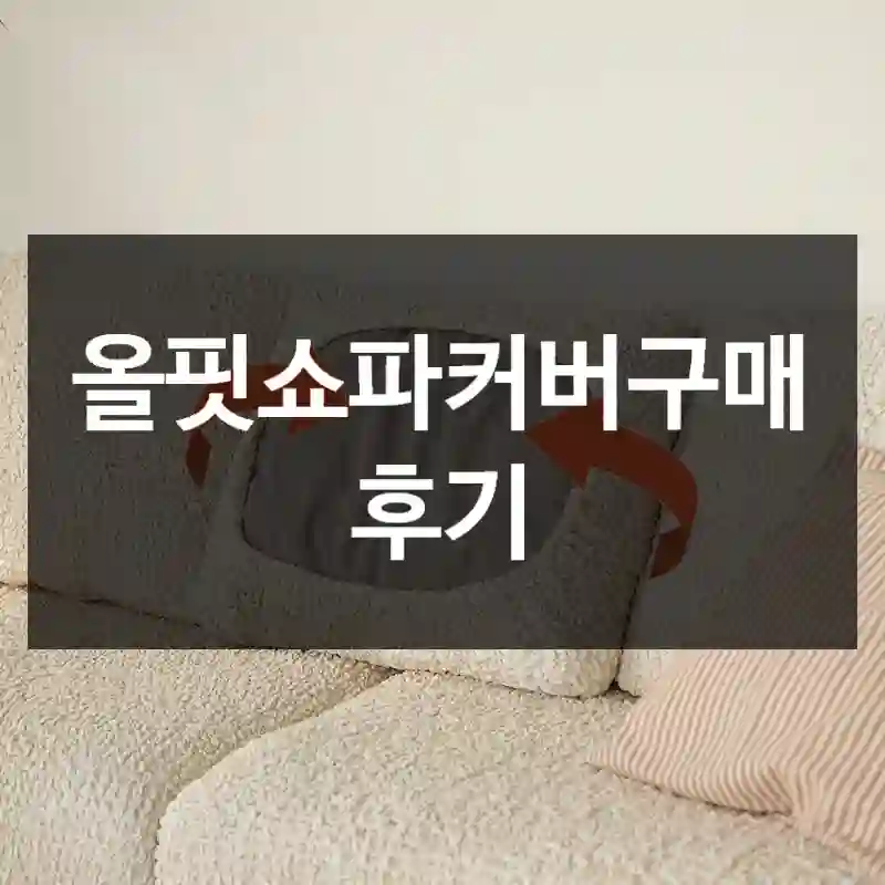 올핏쇼파커버구매 후기