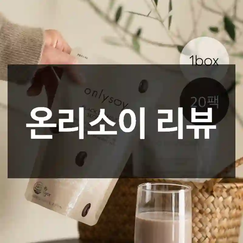 온리소이 리뷰