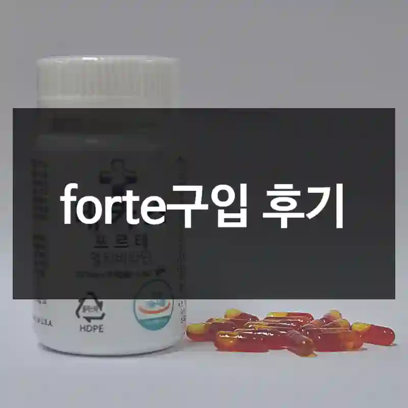 forte구입 후기