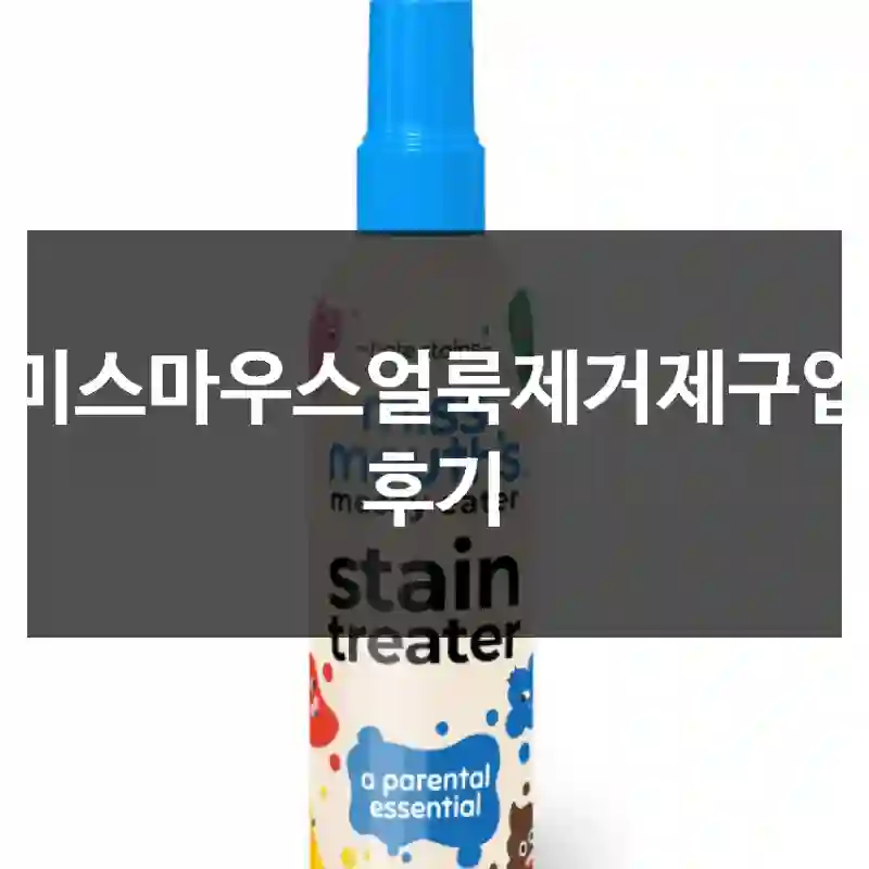 미스마우스얼룩제거제구입 후기