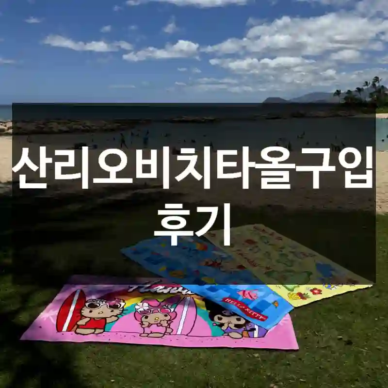 산리오비치타올구입 후기