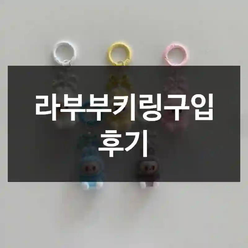 라부부키링구입 후기