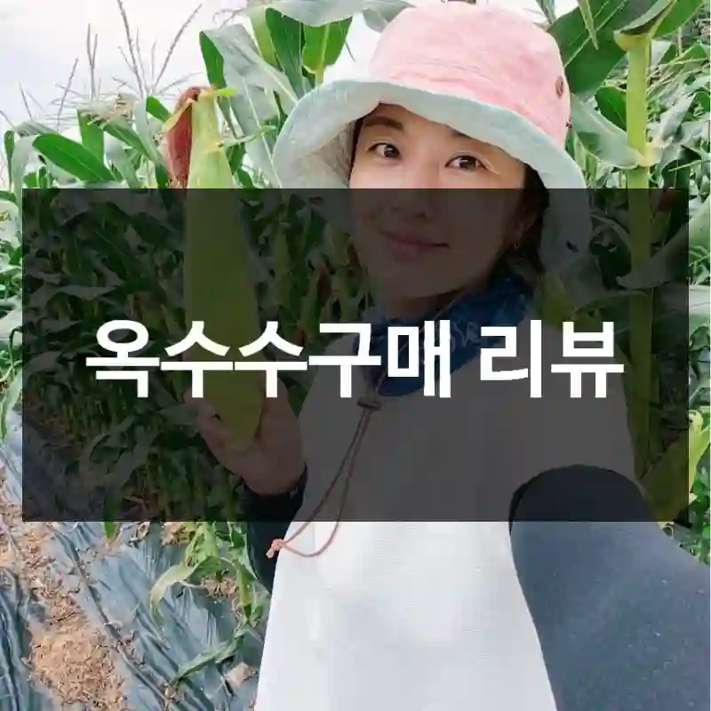 옥수수구매 리뷰