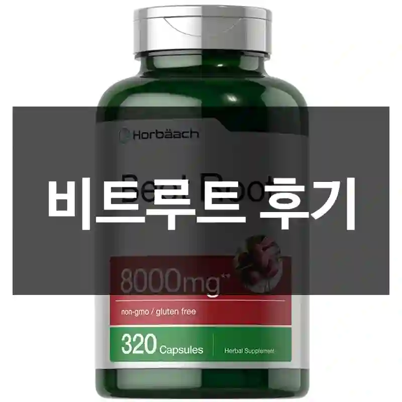 비트루트 후기