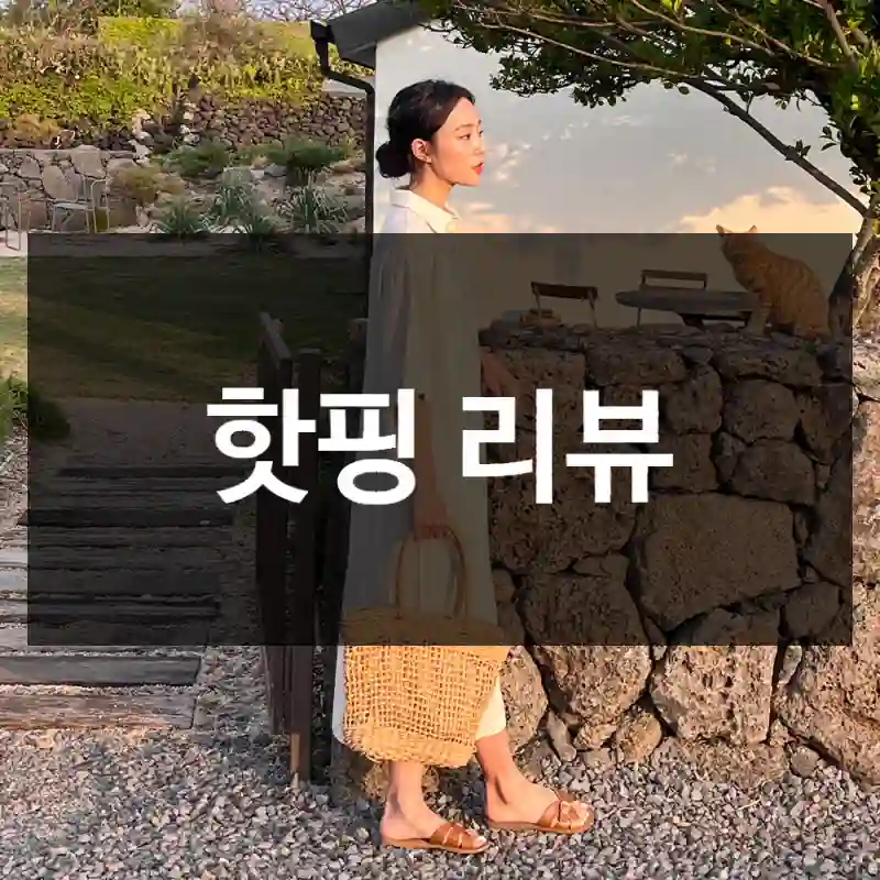 핫핑 리뷰
