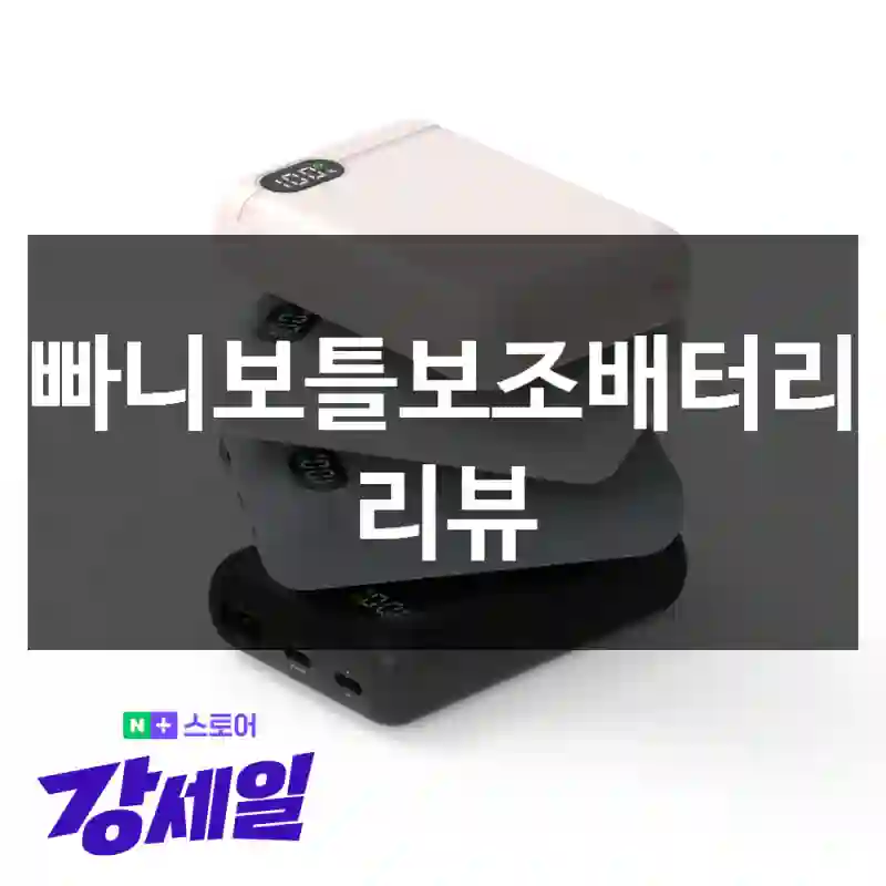 빠니보틀보조배터리 리뷰