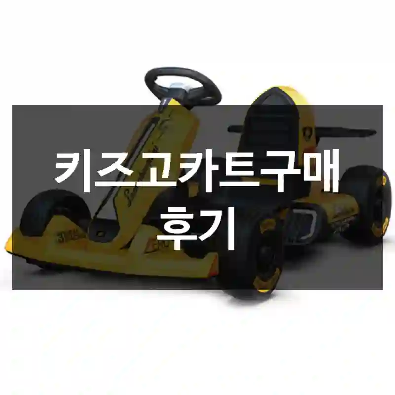 키즈고카트구매 후기