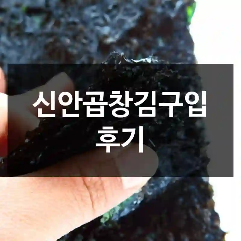 신안곱창김구입 후기