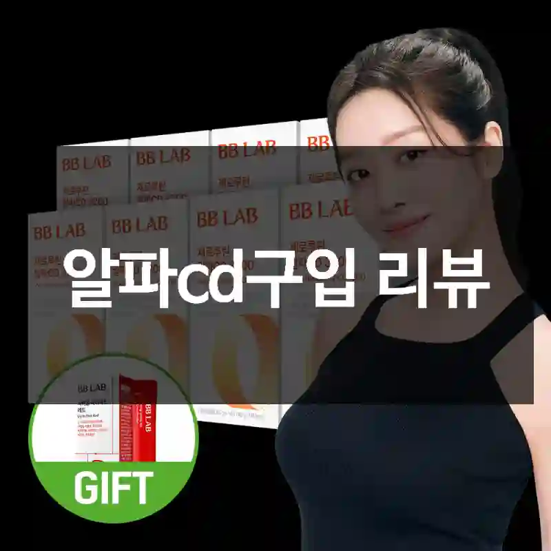알파cd구입 리뷰