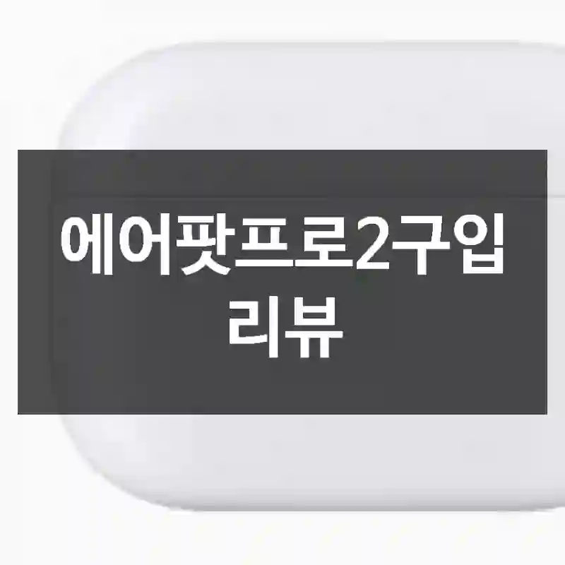 에어팟프로2구입 리뷰