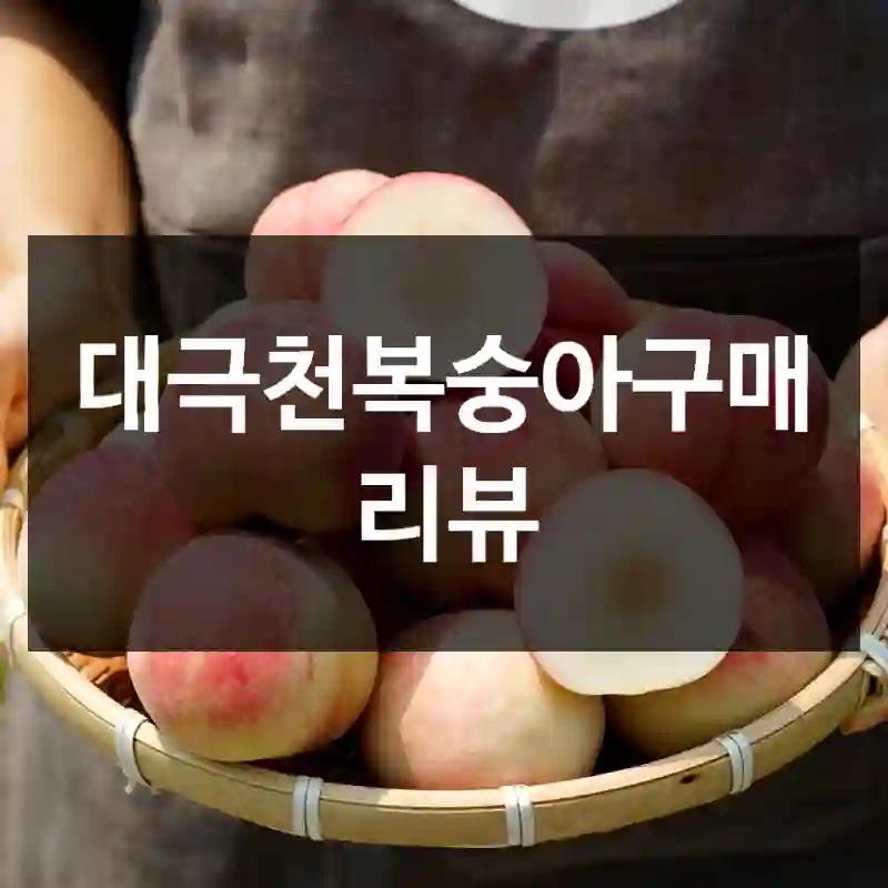 대극천복숭아구매 리뷰
