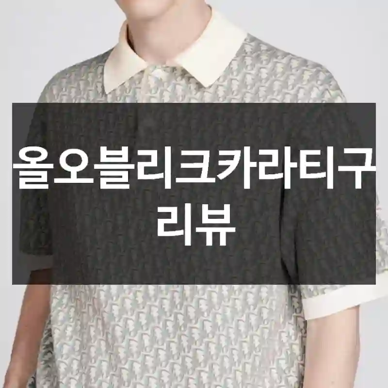 디올오블리크카라티구매 리뷰