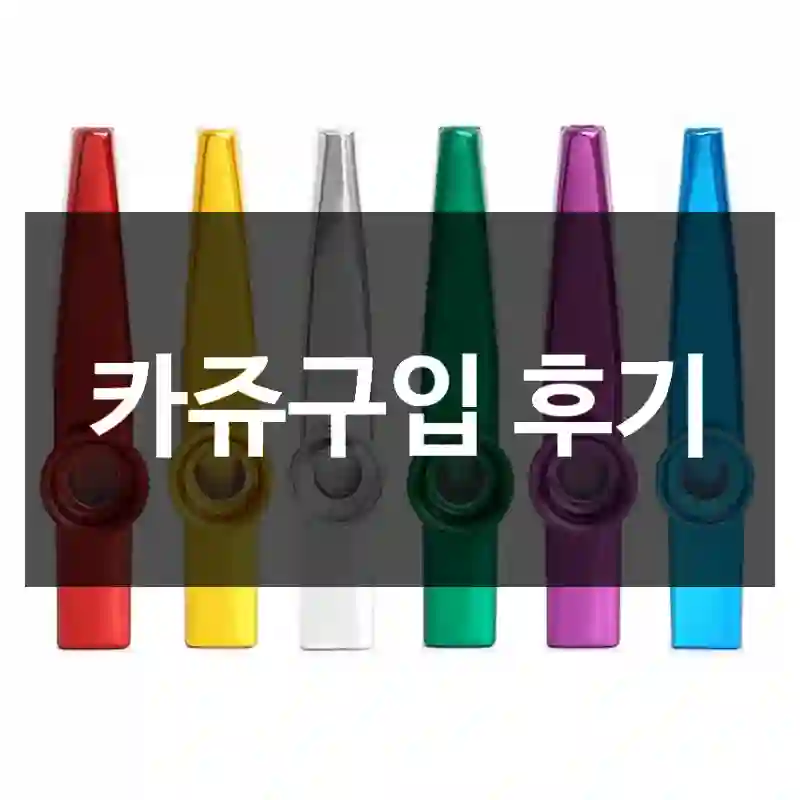 카쥬구입 후기