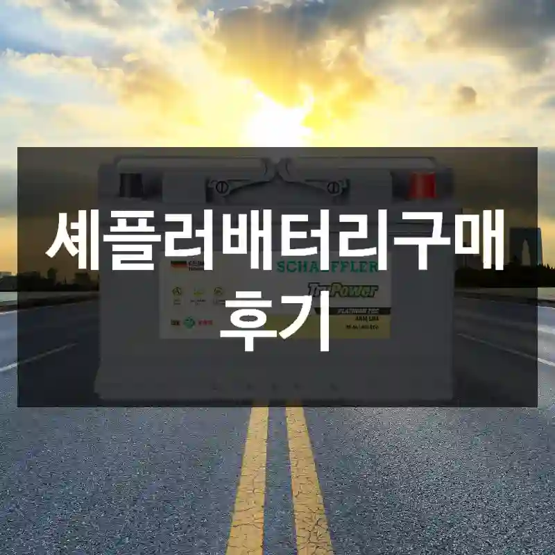 셰플러배터리구매 후기