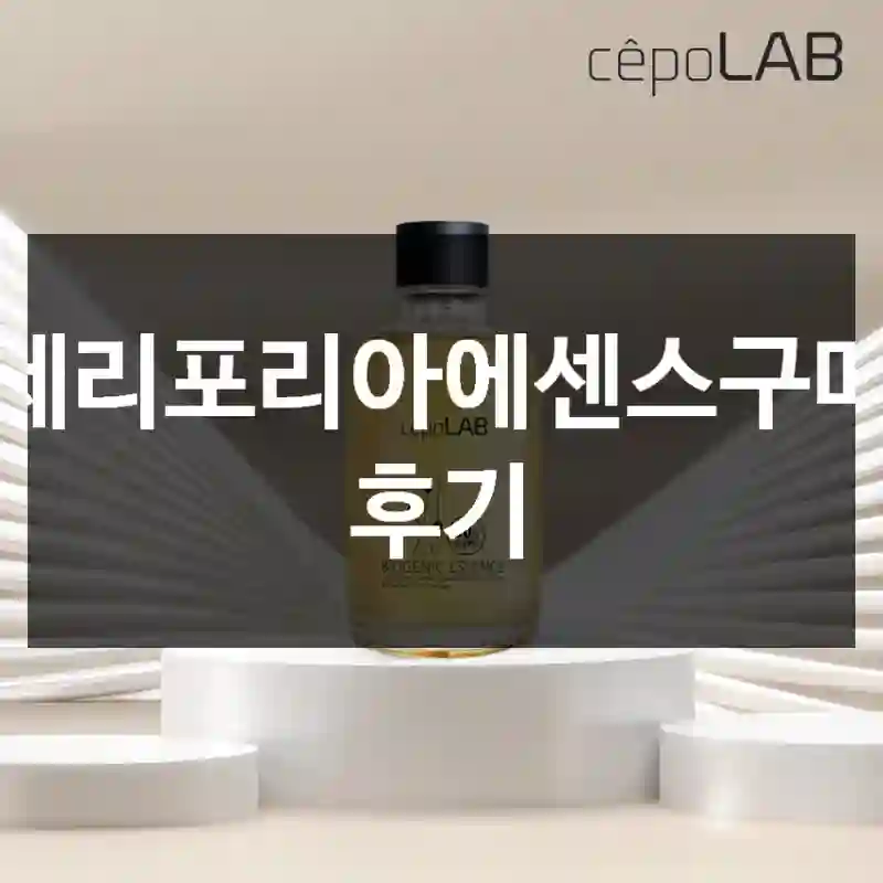 세리포리아에센스구매 후기