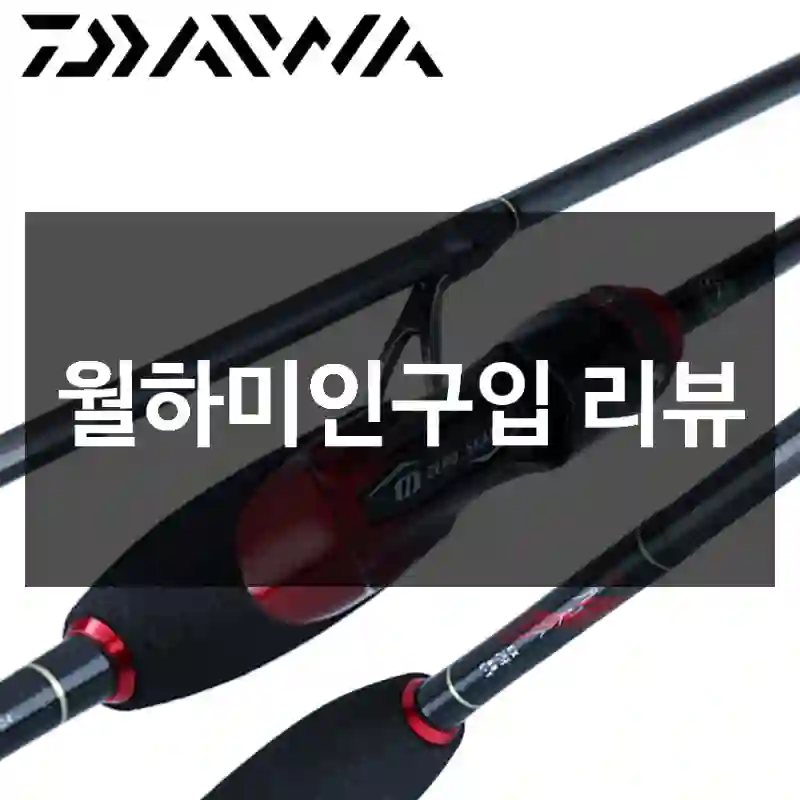 월하미인구입 리뷰