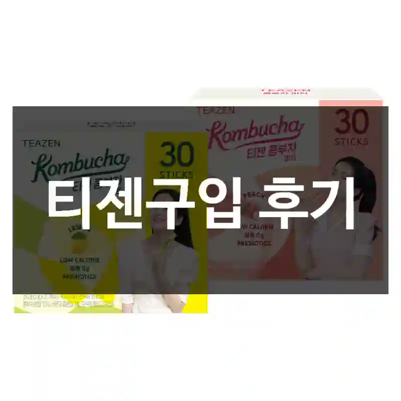 티젠구입 후기