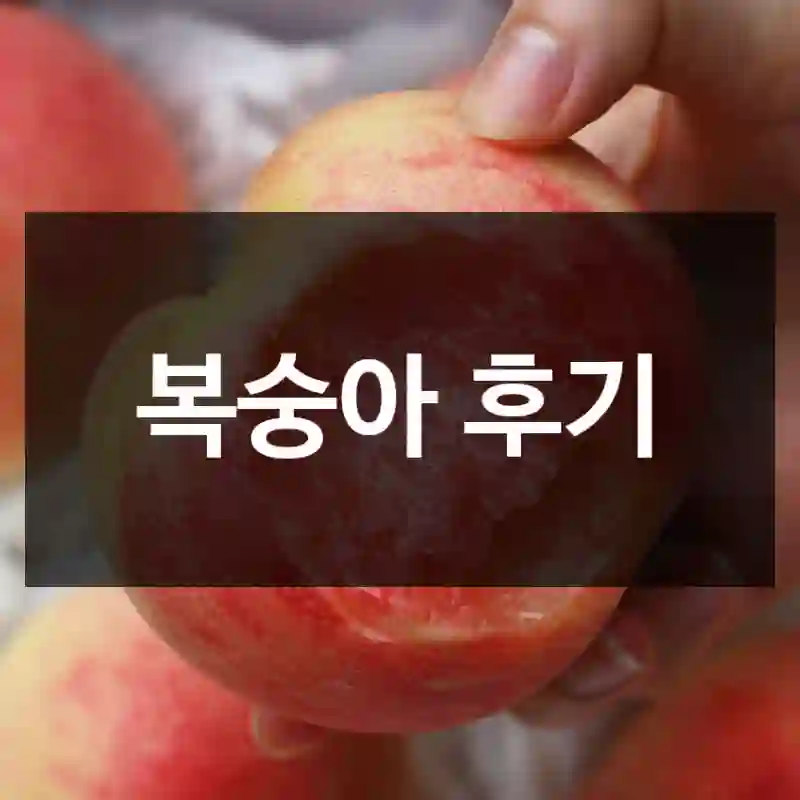 복숭아 후기