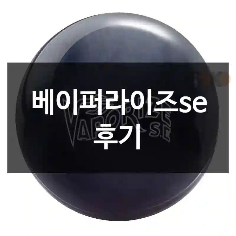 베이퍼라이즈se 후기