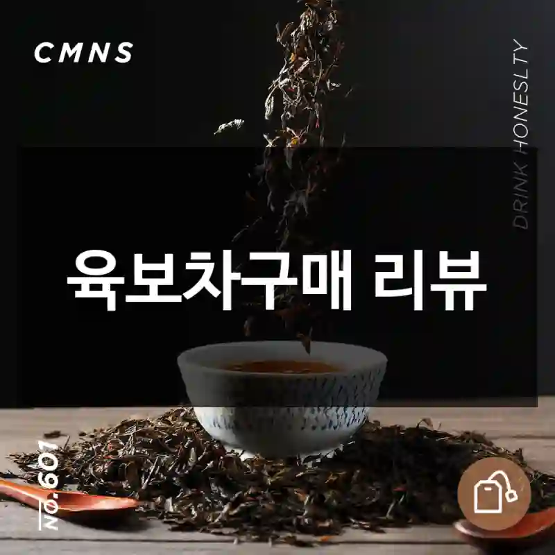 육보차구매 리뷰
