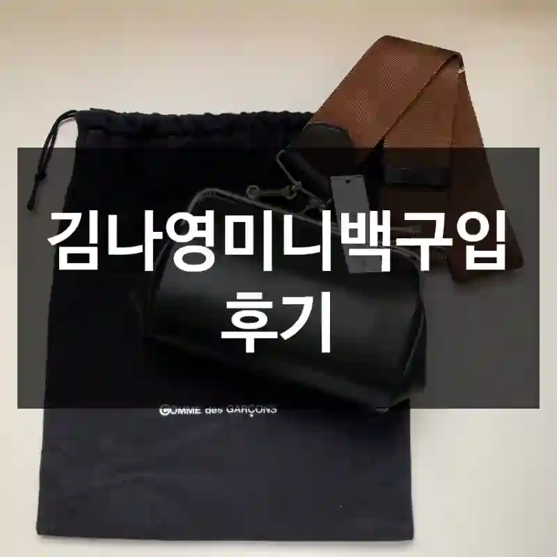 김나영미니백구입 후기