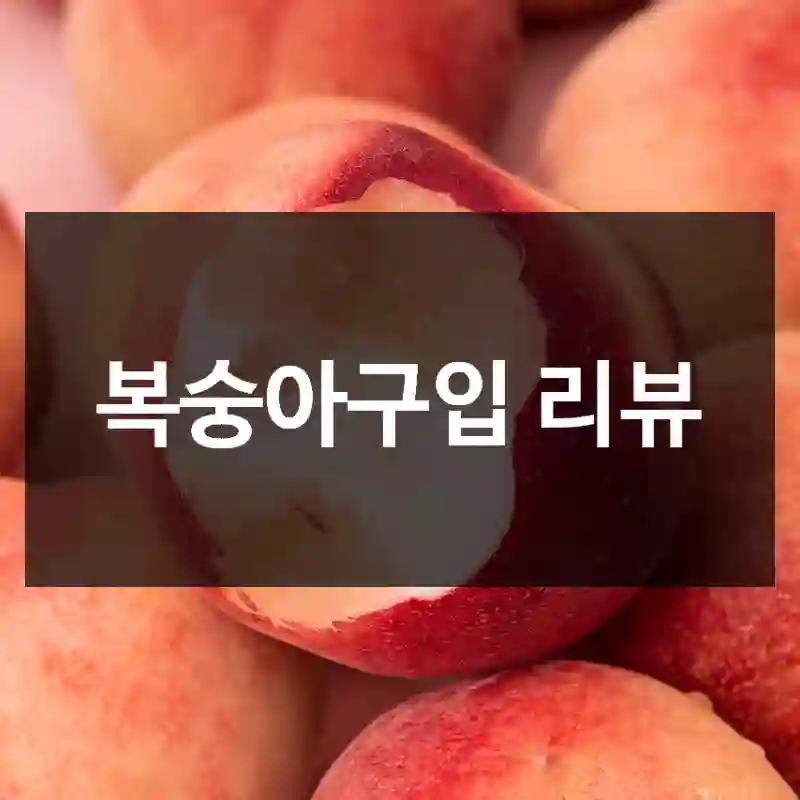 복숭아구입 리뷰