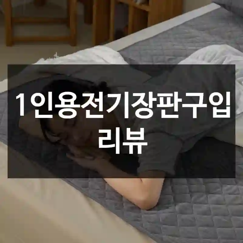 1인용전기장판구입 리뷰