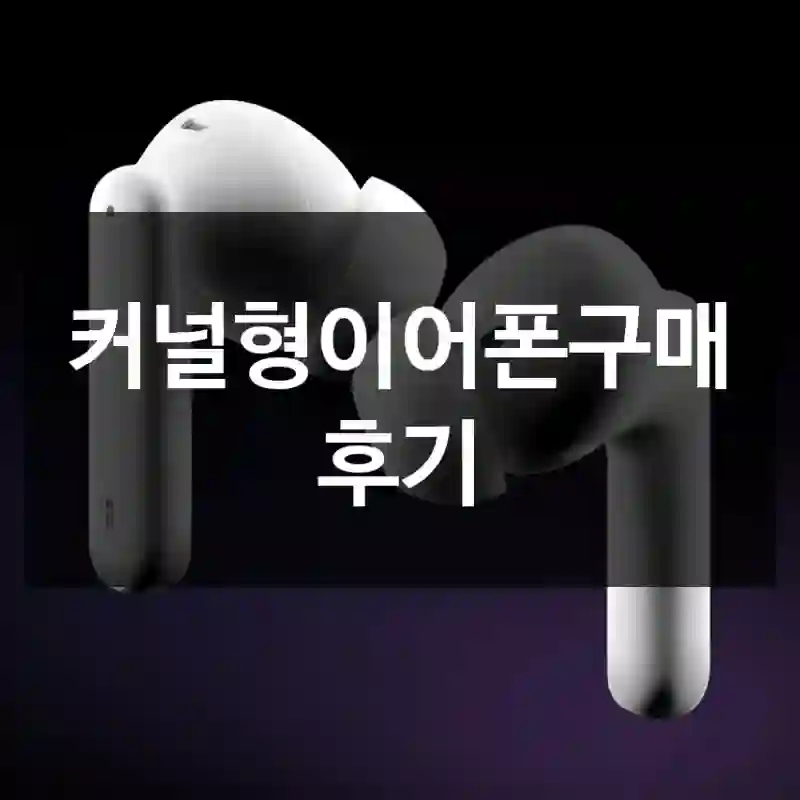 커널형이어폰구매 후기