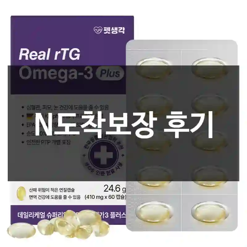 N도착보장 후기