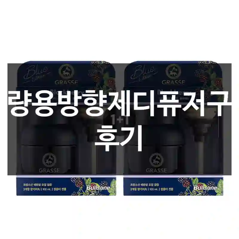 차량용방향제디퓨저구입 후기
