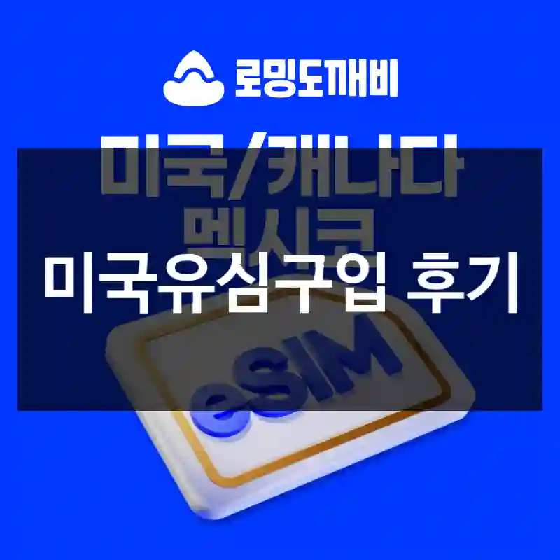 미국유심구입 후기