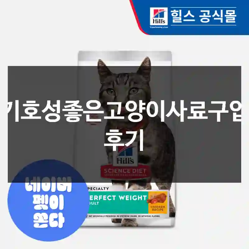 기호성좋은고양이사료구입 후기