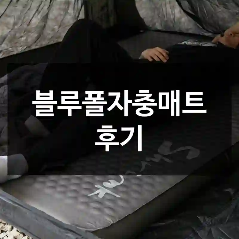 블루폴자충매트 후기